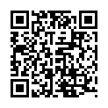 Fate Zero [BD JP, 1080p, x264 10-bit, Vorbis] [DEXA]的二维码