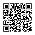 [MinisCuba] Log Horizon Entaku Houkai - 02 (WEB 480p x265) (Subs. Español, English, Portuguese).mkv的二维码