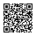 [FAV] Fullmetal Alchemist Brotherhood [BD 540p x264 AAC]的二维码